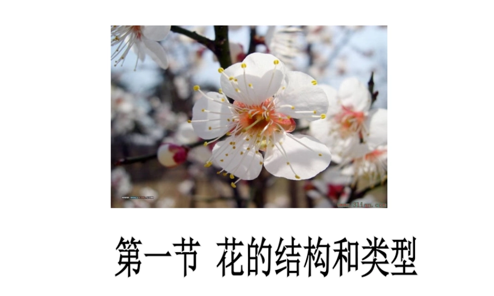 八年级生物上册 7.1.1 花的结构和类型课件 济南版-济南版初中八年级上册生物课件