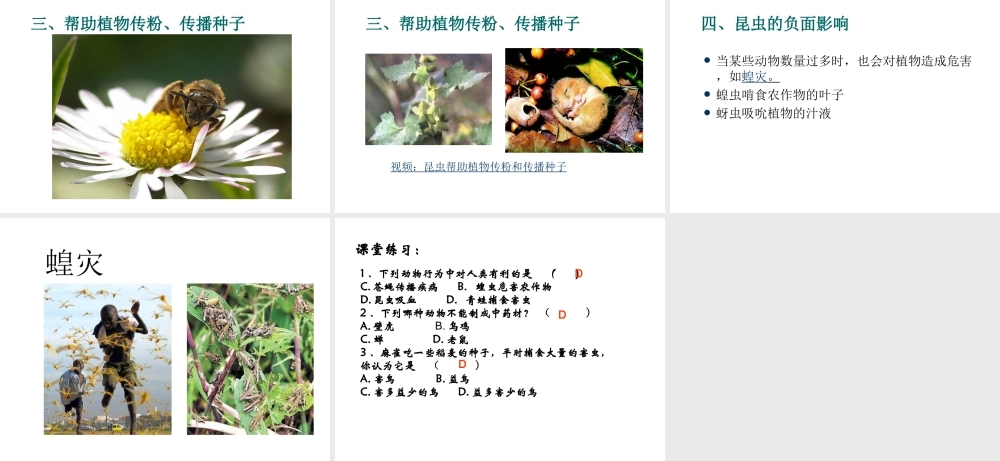 八年级生物上册 5.3.1动物在自然界中的作用课件 人教新课标版