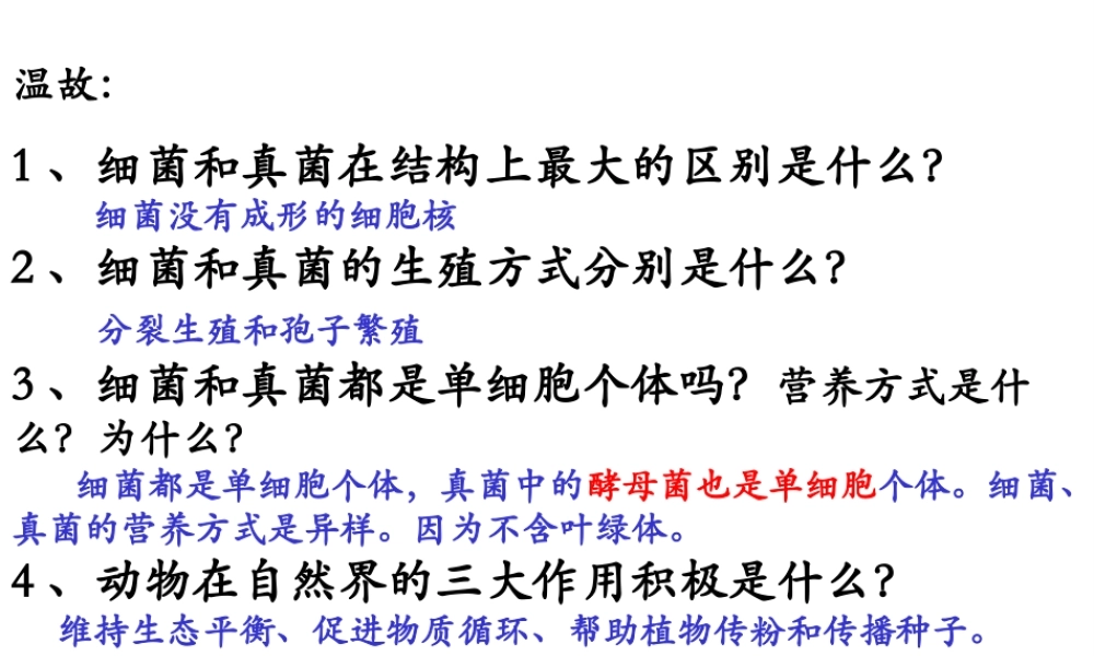 八年级生物上册 5.4.4《细菌和真菌在自然界中的作用》课件2 （新版）新人教版-（新版）新人教版初中八年级上册生物课件