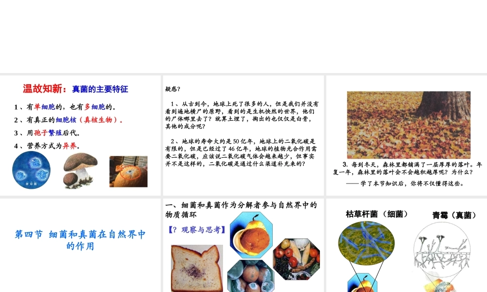八年级生物上册 5.4.4《细菌和真菌在自然界中的作用》课件2 （新版）新人教版-（新版）新人教版初中八年级上册生物课件