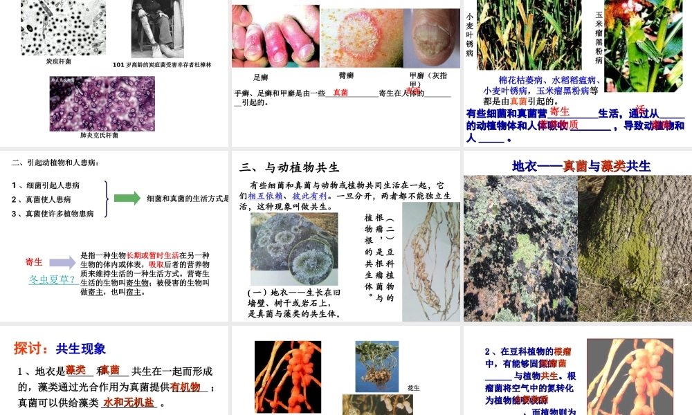 八年级生物上册 5.4.4《细菌和真菌在自然界中的作用》课件2 （新版）新人教版-（新版）新人教版初中八年级上册生物课件