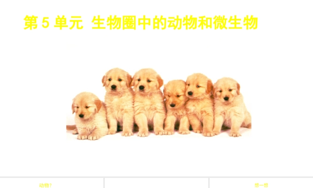 八年级生物上册 第15章 第1节 动物的运动方式课件 北师大版-北师大版初中八年级上册生物课件