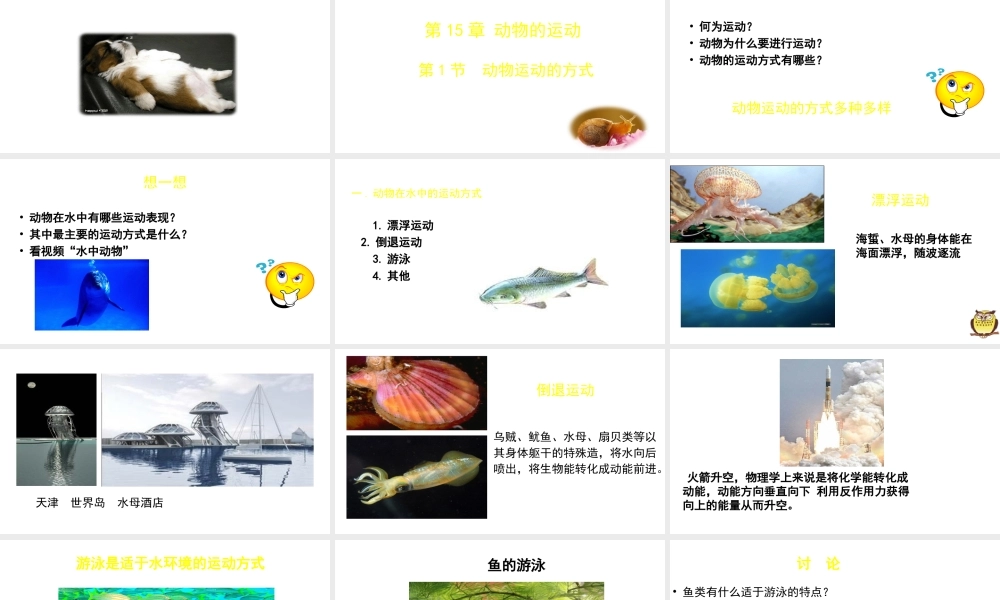 八年级生物上册 第15章 第1节 动物的运动方式课件 北师大版-北师大版初中八年级上册生物课件