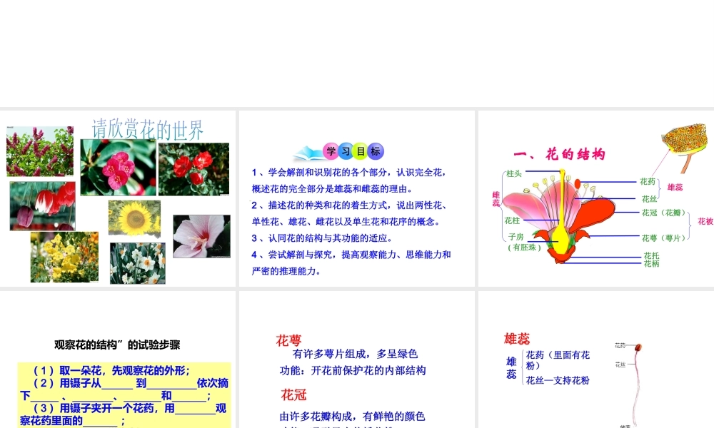 八年级生物上册 7.1.1 花的结构和类型课件 济南版-济南级上册生物课件