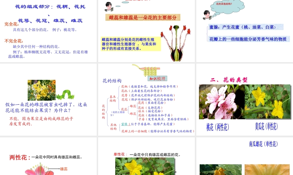 八年级生物上册 7.1.1 花的结构和类型课件 济南版-济南级上册生物课件