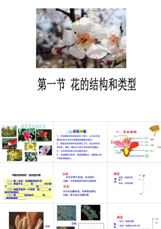 八年级生物上册 7.1.1 花的结构和类型课件 济南版-济南级上册生物课件