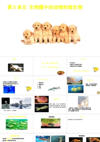 八年级生物上册 第15章 第1节 动物的运动方式课件 北师大版-北师大级上册生物课件