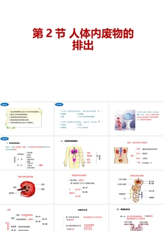 八年级生物上册 6.15.2人体内废物的排出课件 （新版）苏科版-（新版）苏科级上册生物课件