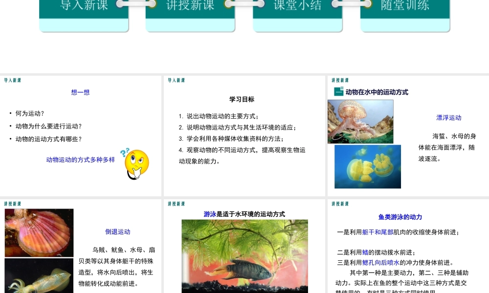 八年级生物上册 第15章 第1节 动物运动的方式课件 （新版）北师大版-（新版）北师大版初中八年级上册生物课件