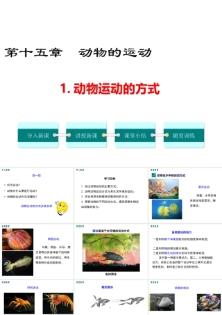 八年级生物上册 第15章 第1节 动物运动的方式课件 （新版）北师大版-（新版）北师大版初中八年级上册生物课件