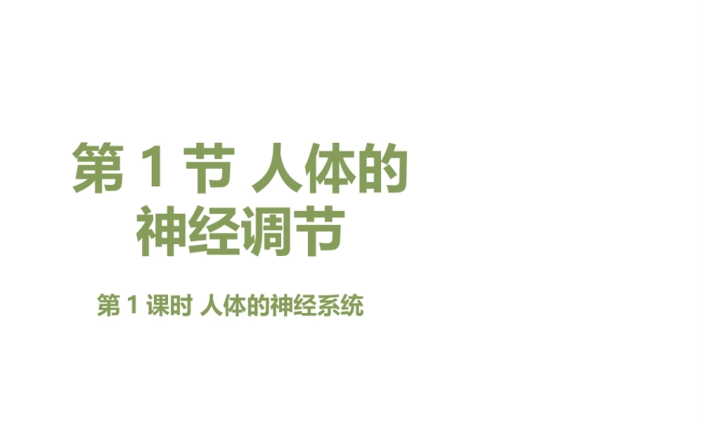 八年级生物上册 6.16.1《人体的神经调节》第1课时课件1 （新版）苏科版-（新版）苏科版初中八年级上册生物课件