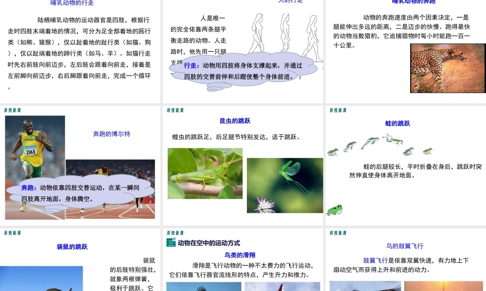 八年级生物上册 第15章 第1节 动物运动的方式课件 （新版）北师大版-（新版）北师大级上册生物课件