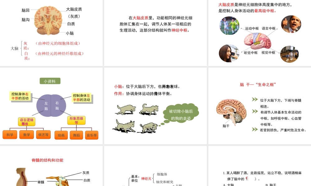 八年级生物上册 6.16.1《人体的神经调节》第1课时课件1 （新版）苏科版-（新版）苏科级上册生物课件