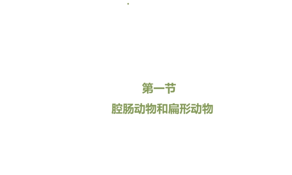 八年级生物上册 7.1.1 腔肠动物和扁形动物（第2课时）课件 鲁科版五四制-鲁科版初中八年级上册生物课件