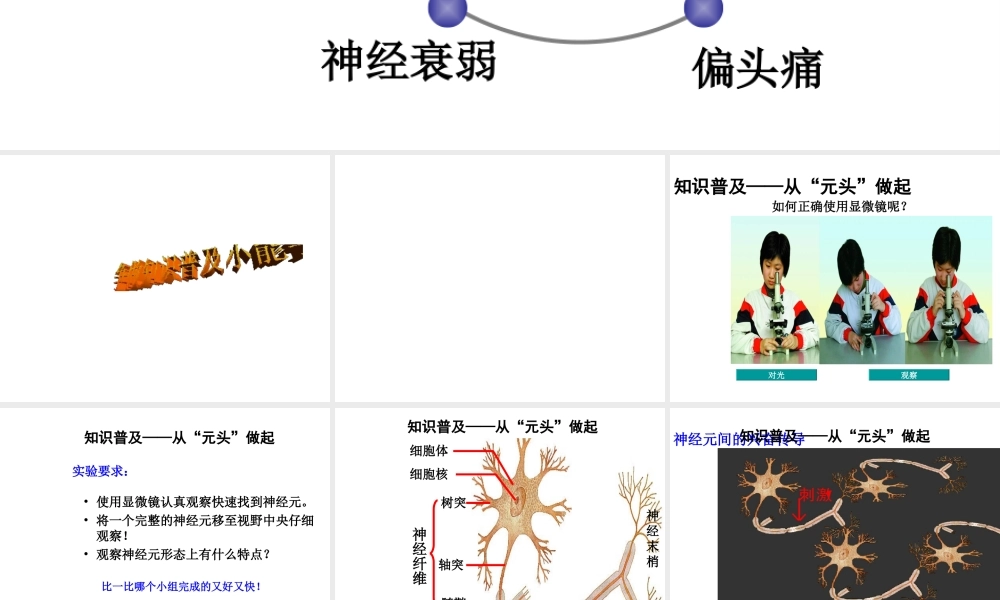八年级生物上册 6.16.1《人体的神经调节》第1课时课件2 （新版）苏科版-（新版）苏科版初中八年级上册生物课件