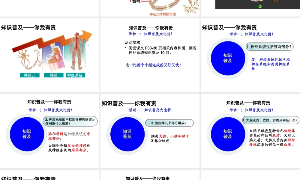 八年级生物上册 6.16.1《人体的神经调节》第1课时课件2 （新版）苏科版-（新版）苏科版初中八年级上册生物课件