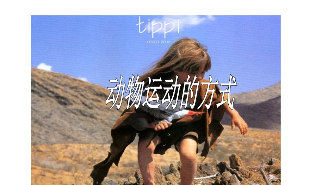 八年级生物上册 第15章 第1节 动物运动的方式课件 北师大版-北师大版初中八年级上册生物课件