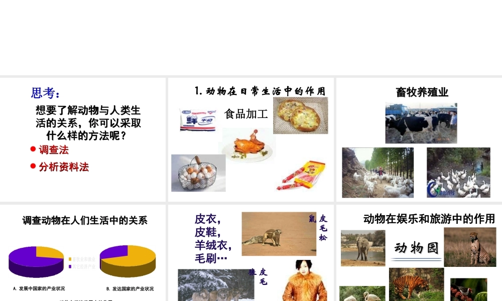 八年级生物上册 5.3.2动物与人类生活的关系课件 人教新课标版