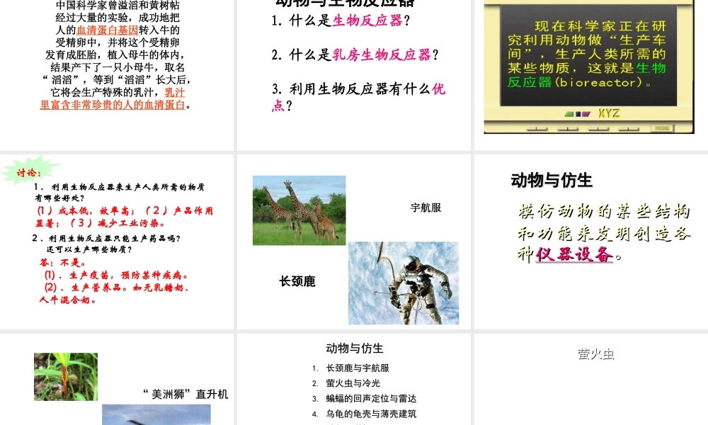 八年级生物上册 5.3.2动物与人类生活的关系课件 人教新课标版