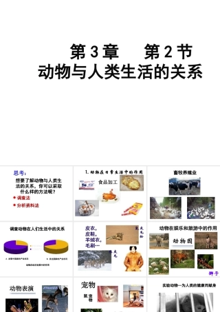 八年级生物上册 5.3.2动物与人类生活的关系课件 人教新课标版