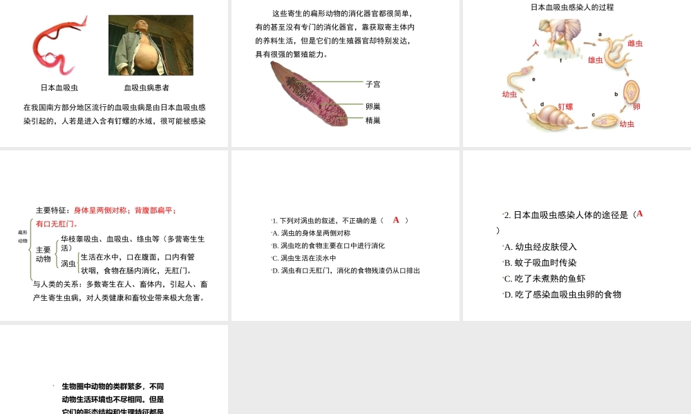 八年级生物上册 7.1.1 腔肠动物和扁形动物（第2课时）课件 鲁科版五四制-鲁科级上册生物课件