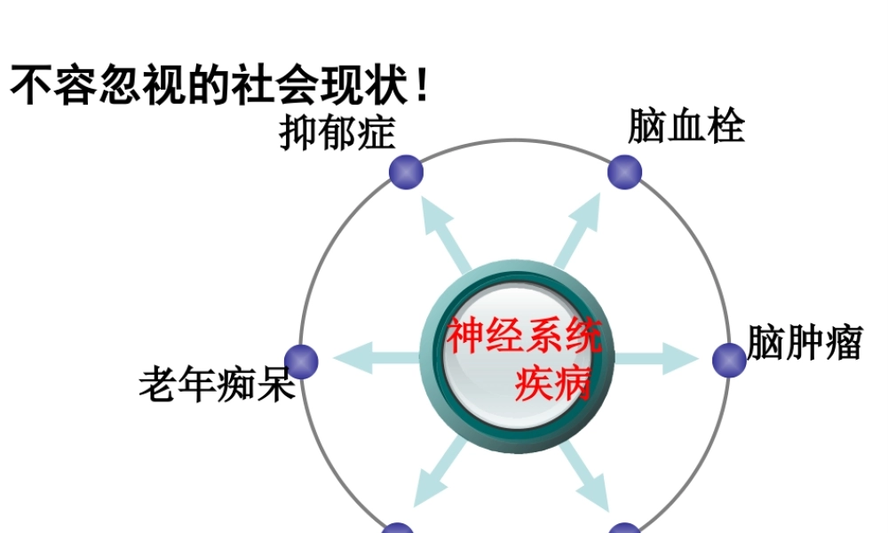八年级生物上册 6.16.1《人体的神经调节》第1课时课件2 （新版）苏科版-（新版）苏科级上册生物课件