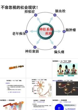 八年级生物上册 6.16.1《人体的神经调节》第1课时课件2 （新版）苏科版-（新版）苏科级上册生物课件