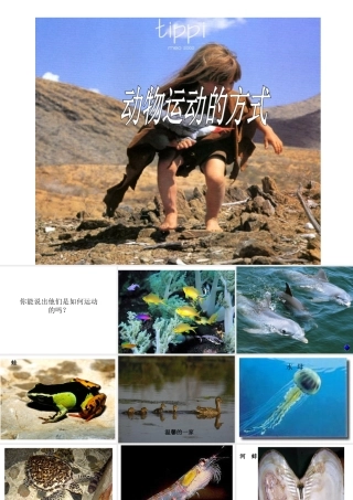 八年级生物上册 第15章 第1节 动物运动的方式课件 北师大版-北师大级上册生物课件