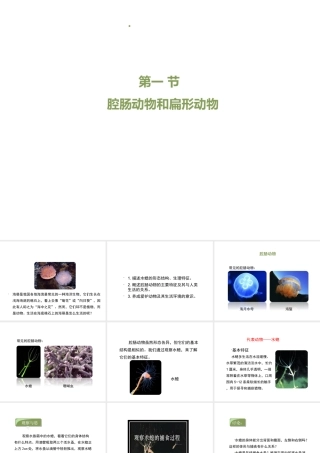 八年级生物上册 7.1.1《腔肠动物和扁形动物》（第1课时）课件 鲁科版五四制-鲁科版初中八年级上册生物课件