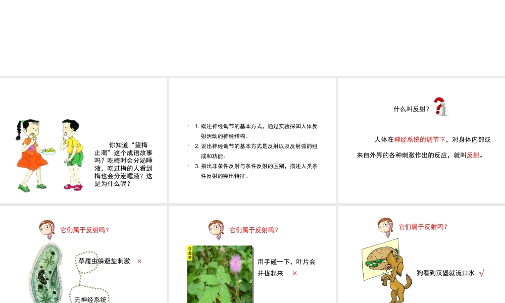 八年级生物上册 6.16.1《人体的神经调节》第2课时课件1 （新版）苏科版-（新版）苏科版初中八年级上册生物课件