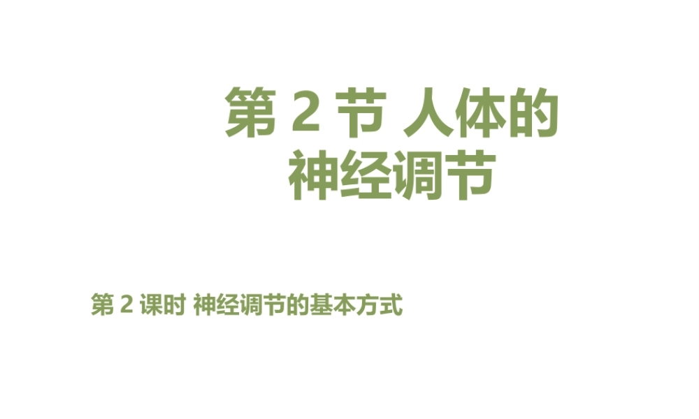 八年级生物上册 6.16.1《人体的神经调节》第2课时课件1 （新版）苏科版-（新版）苏科级上册生物课件