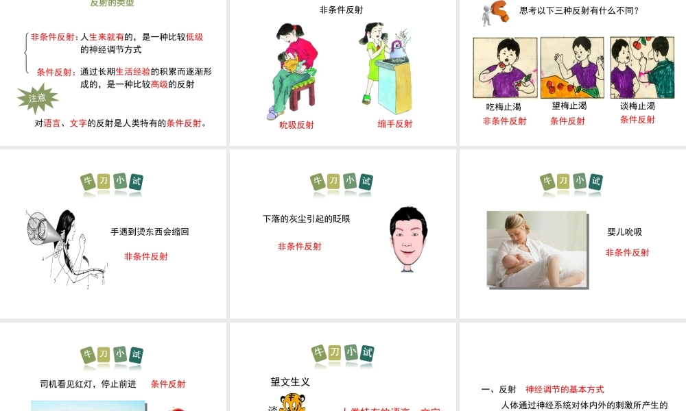 八年级生物上册 6.16.1《人体的神经调节》第2课时课件1 （新版）苏科版-（新版）苏科级上册生物课件