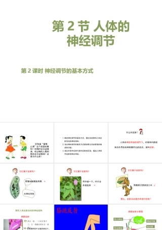 八年级生物上册 6.16.1《人体的神经调节》第2课时课件1 （新版）苏科版-（新版）苏科级上册生物课件