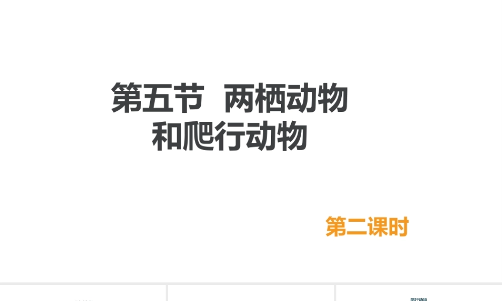 八年级生物上册 5.1.5《两栖动物和爬行动物》（第2课时）课件 （新版）新人教版-（新版）新人教版初中八年级上册生物课件