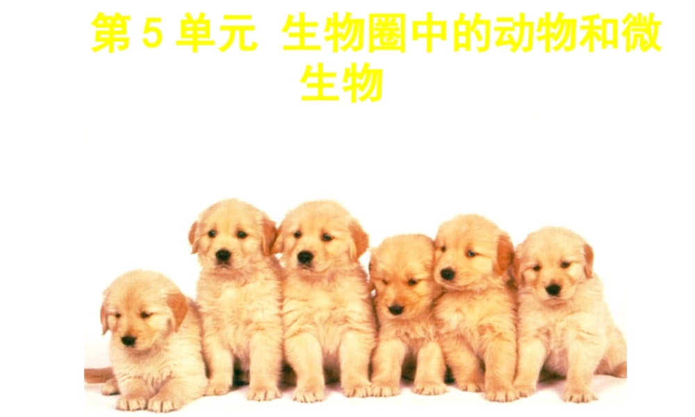 八年级生物上册 第15章 第1节 动物运动的方式课件1（新版）北师大版