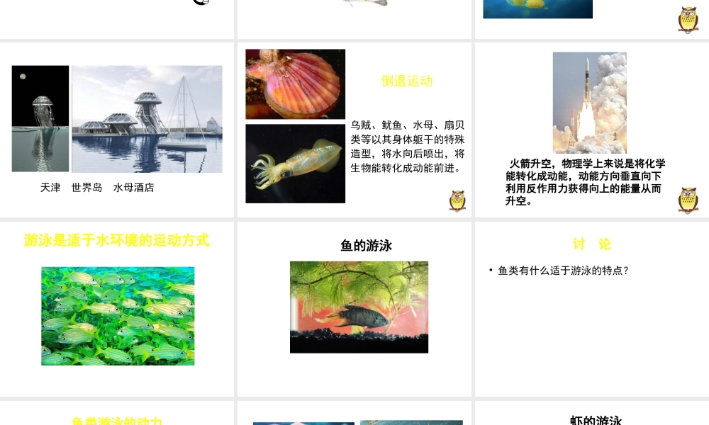 八年级生物上册 第15章 第1节 动物运动的方式课件1（新版）北师大版