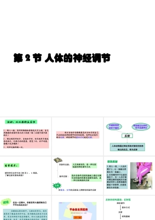 八年级生物上册 6.16.1《人体的神经调节》第2课时课件2 （新版）苏科版-（新版）苏科版初中八年级上册生物课件