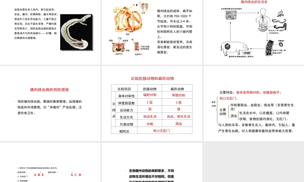 八年级生物上册 7.1.1《腔肠动物和扁形动物》（第2课时）课件 鲁科版五四制-鲁科级上册生物课件