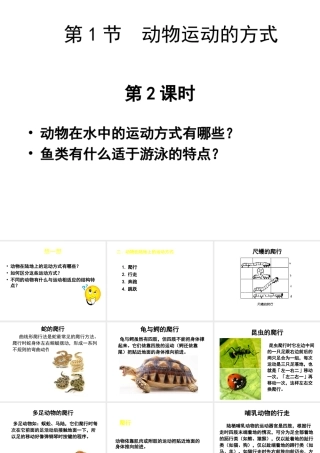 八年级生物上册 第15章 第1节 动物运动的方式课件2 （新版）北师大版