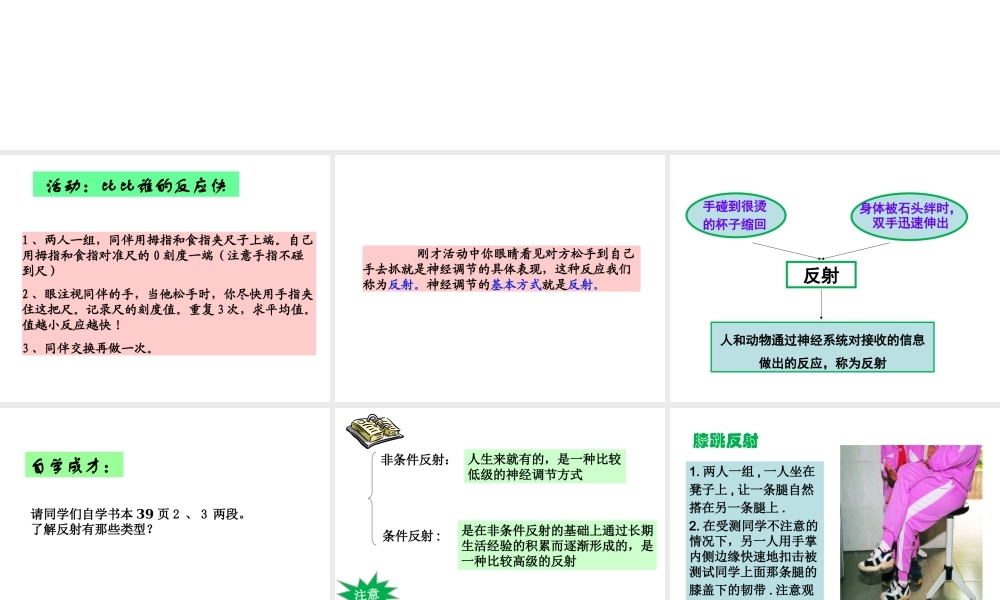八年级生物上册 6.16.1《人体的神经调节》第2课时课件2 （新版）苏科版-（新版）苏科级上册生物课件