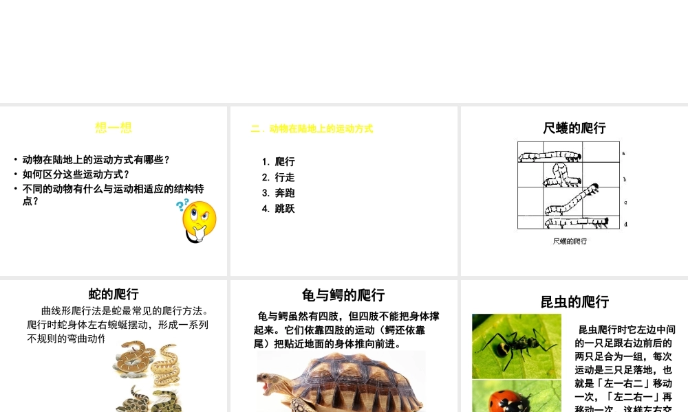 八年级生物上册 第15章 第1节 动物运动的方式课件2（新版）北师大版