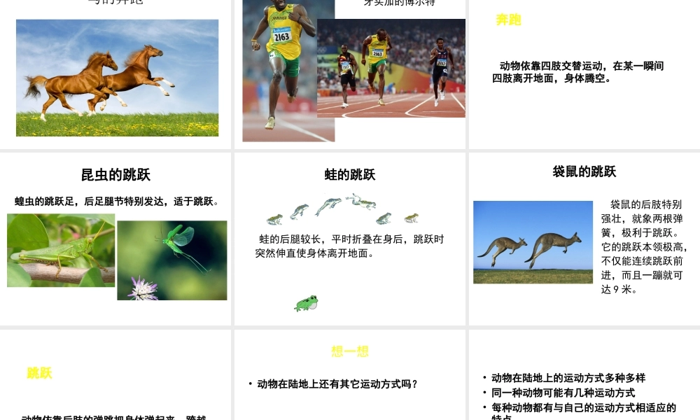 八年级生物上册 第15章 第1节 动物运动的方式课件2（新版）北师大版