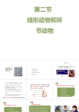 八年级生物上册 7.1.2 线形动物和环节动物（第1课时）课件 鲁科版五四制-鲁科版初中八年级上册生物课件