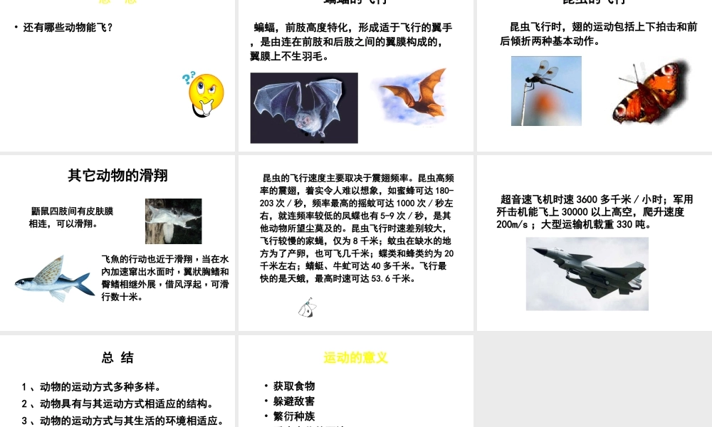 八年级生物上册 第15章 第1节 动物运动的方式课件3 （新版）北师大版