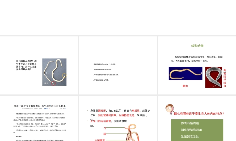 八年级生物上册 7.1.2 线形动物和环节动物（第1课时）课件 鲁科版五四制-鲁科级上册生物课件