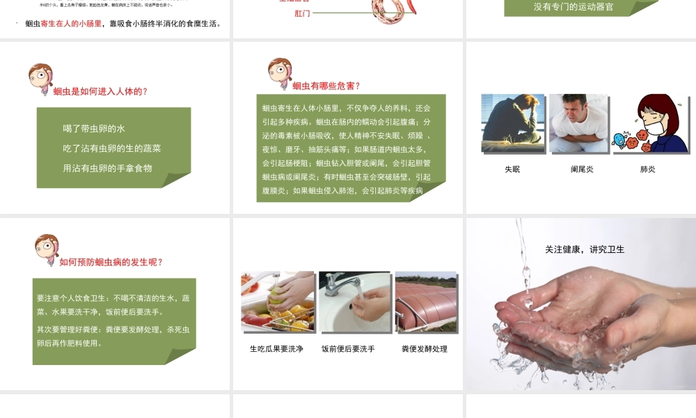 八年级生物上册 7.1.2 线形动物和环节动物（第1课时）课件 鲁科版五四制-鲁科级上册生物课件