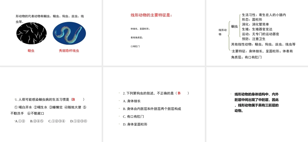 八年级生物上册 7.1.2 线形动物和环节动物（第1课时）课件 鲁科版五四制-鲁科级上册生物课件
