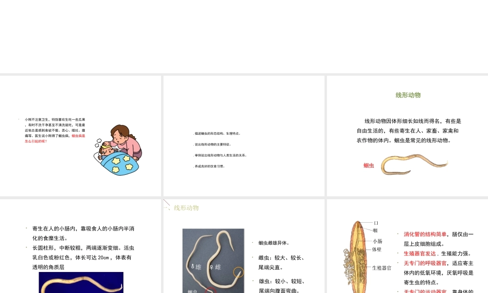八年级生物上册 7.1.2《线形动物和环节动物》（第1课时）课件 鲁科版五四制-鲁科版初中八年级上册生物课件