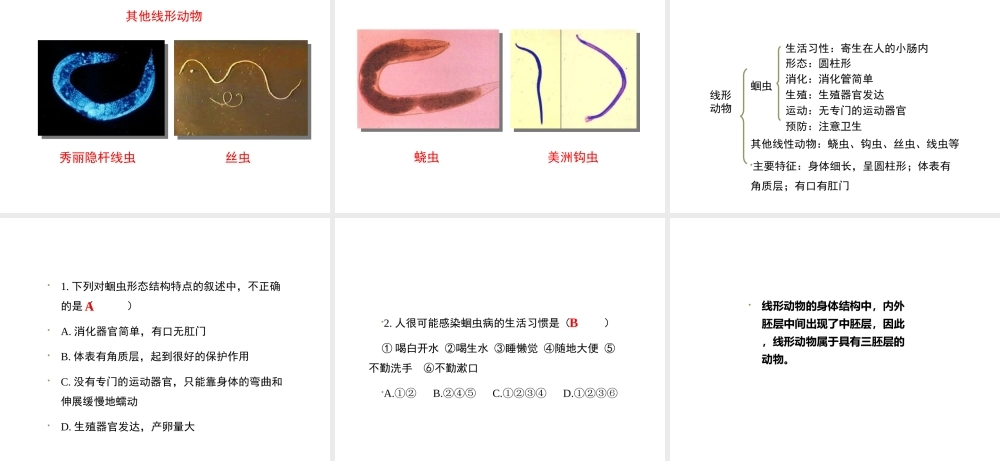 八年级生物上册 7.1.2《线形动物和环节动物》（第1课时）课件 鲁科版五四制-鲁科版初中八年级上册生物课件
