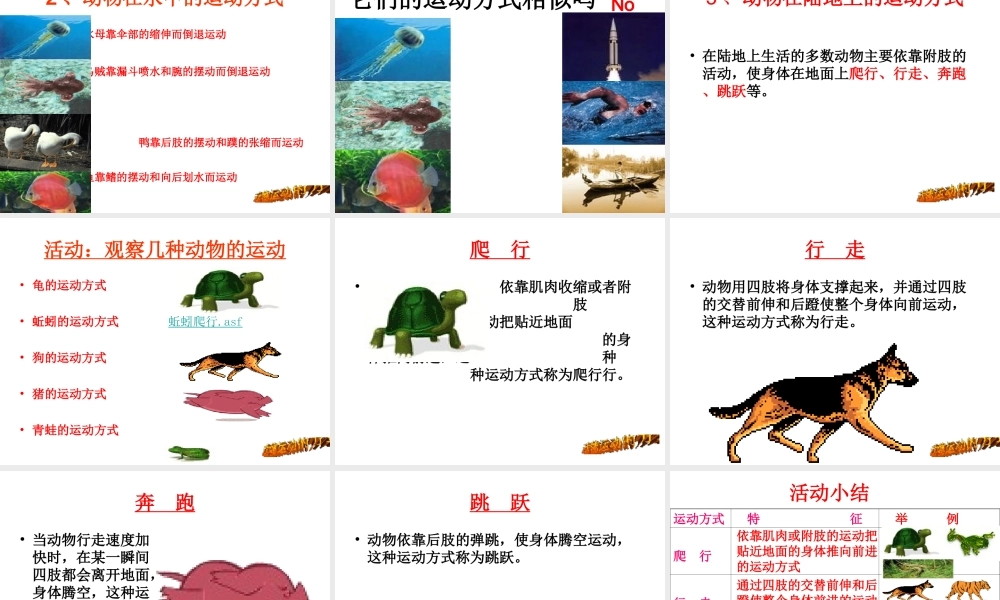 八年级生物上册 第15章 第1节 动物运动的方式说课课件 北师大版-北师大级上册生物课件